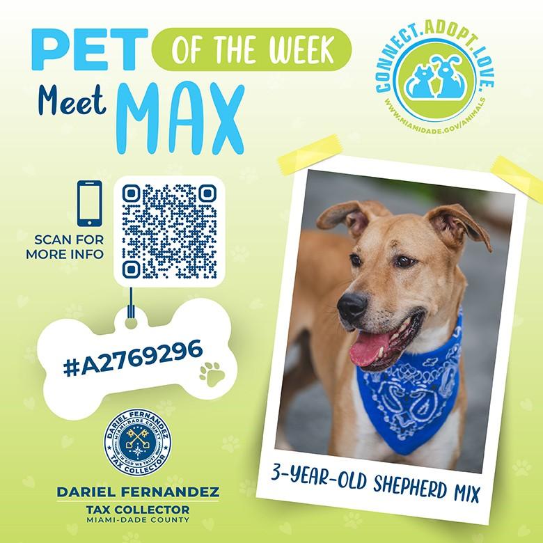 Pet of the Week: Tax Collector Dariel Fernandez Encourages Residents to Support Shelter Pets in Need