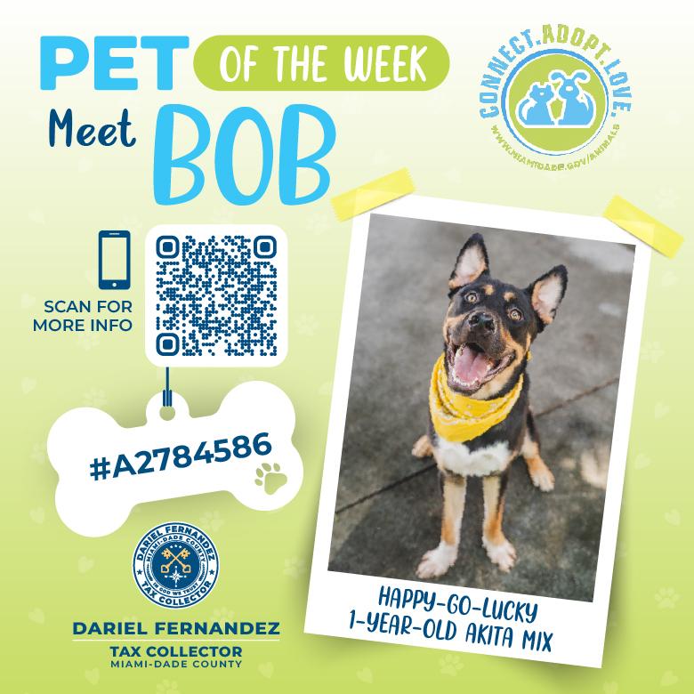 Pet of the Week: Tax Collector Dariel Fernandez Encourages Residents to Support Shelter Pets in Need