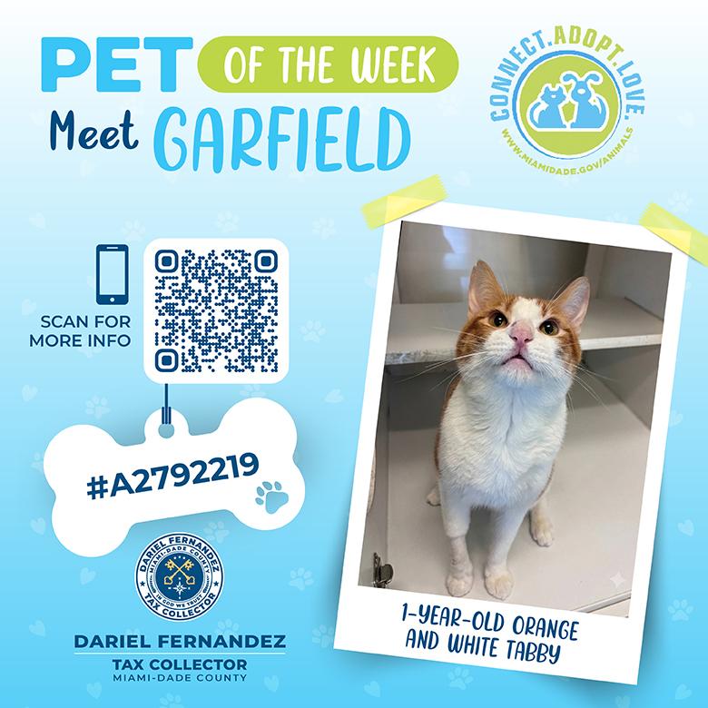 Pet of the Week: Tax Collector Dariel Fernandez Encourages Residents to Support Shelter Pets in Need