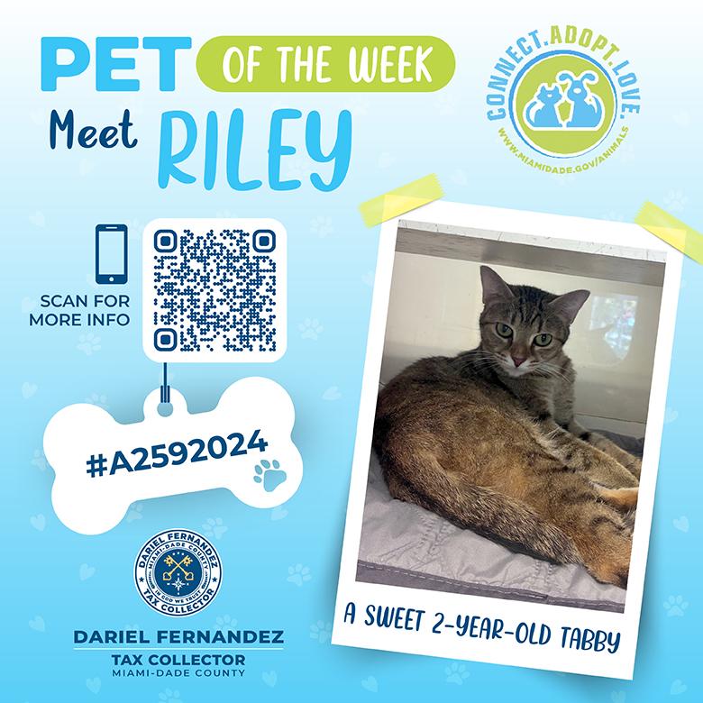 tc-pet-week-riley-1.jpg