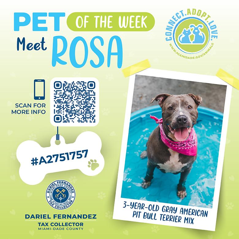 tc-pet-week-rosa.jpg