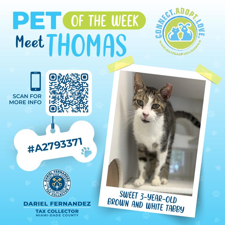tc-pet-week-thomas.jpg